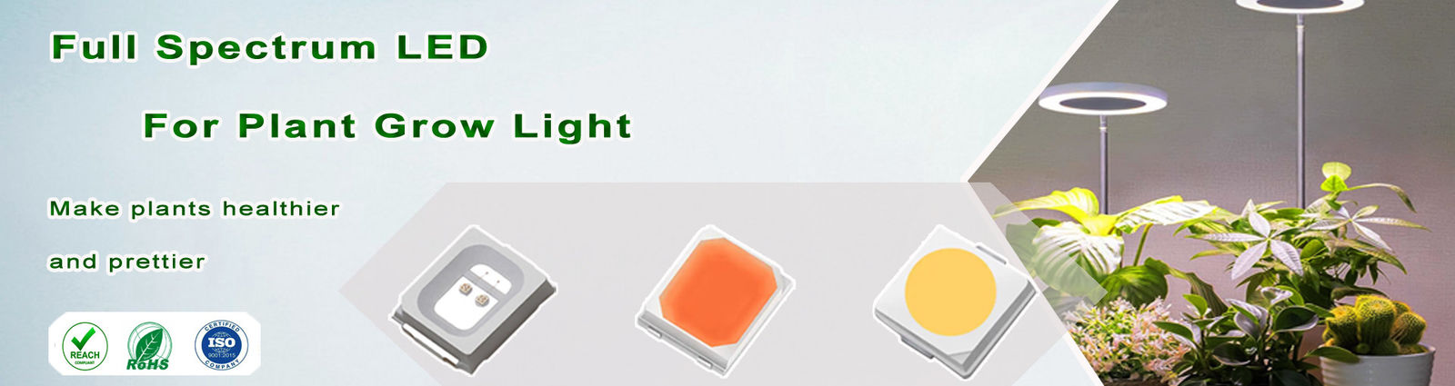 Bi-Color SMD LED