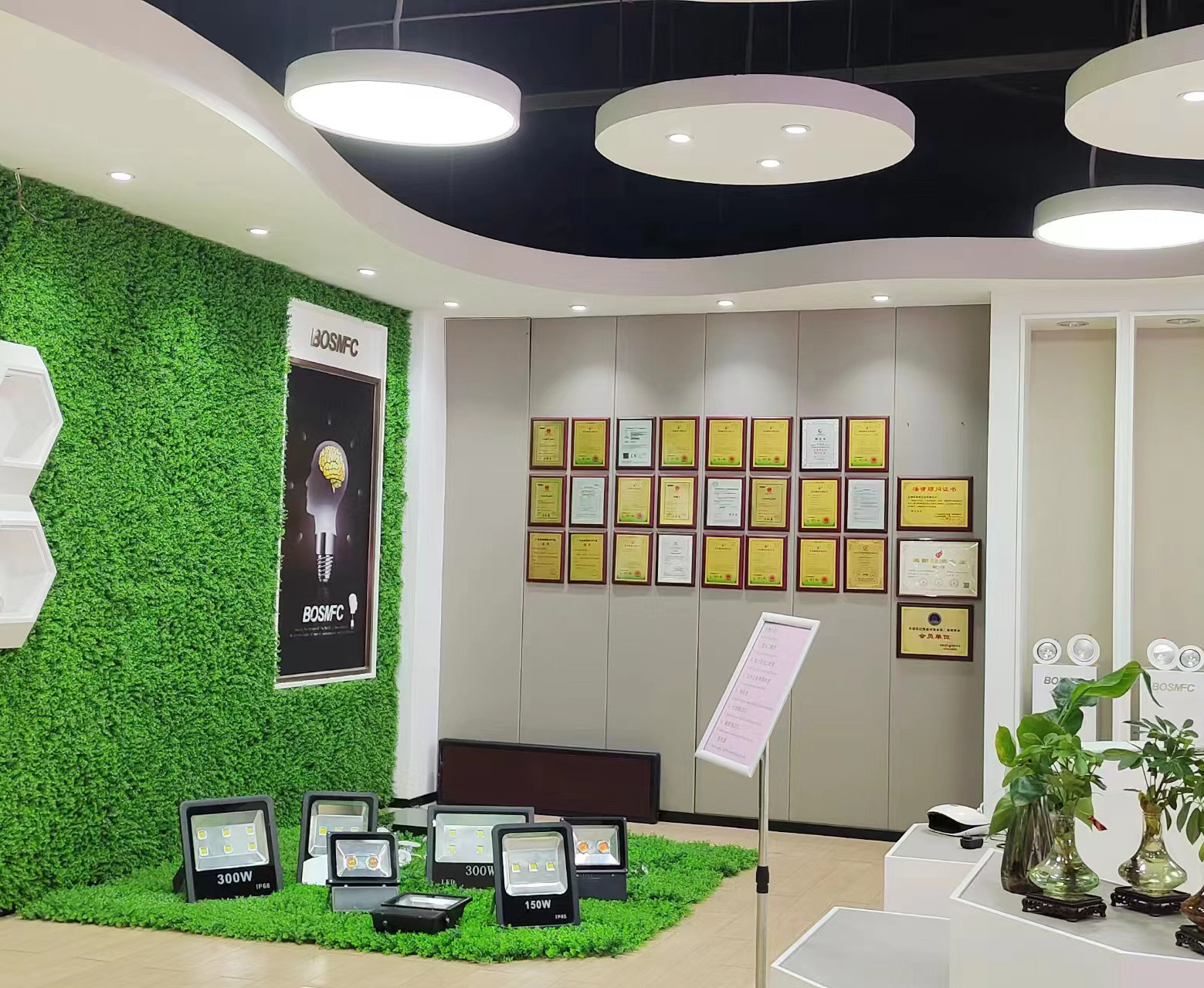 Chiny Dongguan Lanjin Optoelectronics Co., Ltd. profil firmy