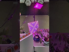 2835 SMD LED PCB pełnego widma COB Dla roślin LED Grow Light