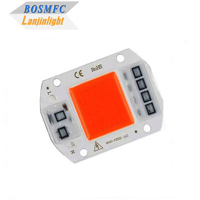 Praktyczny pełnofrekwencyjny chip COB LED 50W 100W dla lampy do hodowli roślin w pomieszczeniach